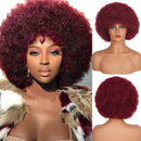 Lace Cacheada Cabelo Afro Curto